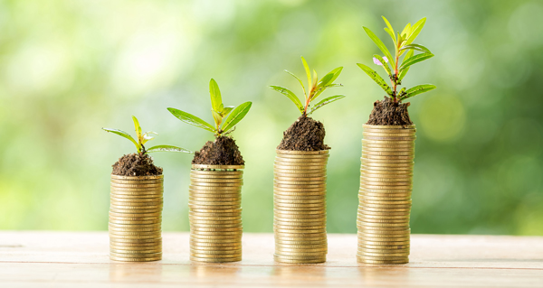 Planificación financiera Desarrollo económico